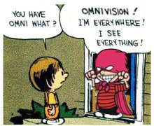Omnivision